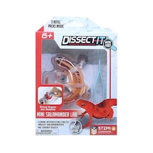Slimy Dissect İt Mini With Magnifying Glass 38085