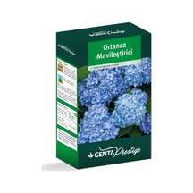 Prestige Ortanca Mavileştirici 800 Gr