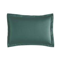Petrol