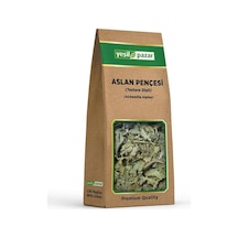 Yeşil Pazar Aslan Pençesi Testere Dişli 20 Gr