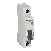 Schneider C Tipi 1X16A Otomatik Sigorta - Ez9F43116