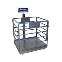 Hcw 600 KG x 200 Gr 80 x 90 Canlı Hayvan Baskülü Küçük Baş
