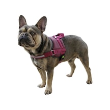 Kerbl Köpek Belden Tasma Maestro 2.0 Bordo 57 - 77 CM Bordo