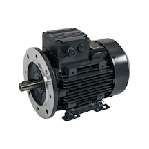 Elk 3 Kw 4 Hp 3000 Dd 3El100L2C 380 V Trifaze Ie3 Elektrik Motoru B35 - Ayaklı Flanşlı