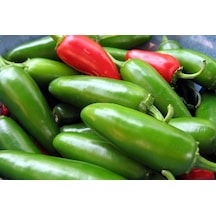10+ Jalapeno Tam Acı Biber Tohumu N112811