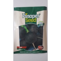 Turp Siyah Tohumu 1 Paket