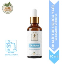 10 ML
