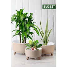 Nandy Home Tripot Model Saksı Seti Krem 3'lü
