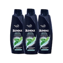 Blendax Erkekler için Mentollü Şampuan 3 x 500 ML