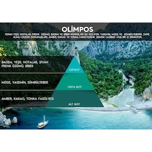 Rulopak Cosmic M5 Koku Makinası Kokusu, Olimpos Abundance Prosperity