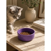 Hubrendy Sh Kase Model Beton Kedi Köpek Mama Ve Su Kabı 15cm Çap 5cm - Mor