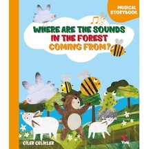 Where Are The Sounds In The Forest Coming From