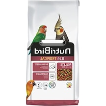 Tropikal Paraket Pelet Yemi - 10 Kg Enerji Dolu
