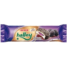 Halley Mini Karadut Marmelatlı Çikolatalı Bisküvi 74 G