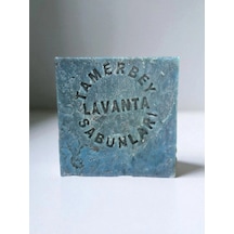 Lavanta