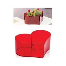 Dms Homecare Kalp Aranjman Saksı