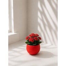 Mini Yuvarlak Dekoratif Saksı, Kırmızı 001