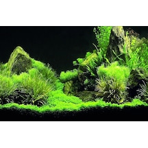 Kanki Pet Kp7045035 Akvaryum Arka Fon Yapıştırma 70 X 45 Cm