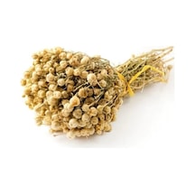 Üzerlik Otu 30 G