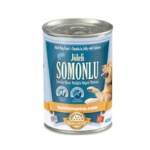 Jelly Somonlu Konserve Yetişkin Köpek Maması 400 G