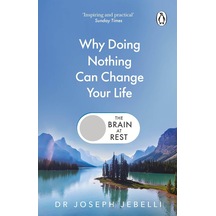 The Brain At Rest: Why Doing Nothing Can Change Your Life Penguin Books Uk