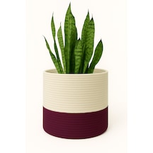 Mavaux Dekoratif Jüt Saplı Hasır Sepet Saksı 20cm X 20 Cm, Jüt Bej Saksılık, Dekoratif Saksı Ve Havluluk Mürdüm
