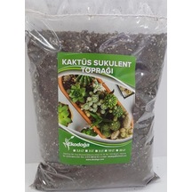 Kaktüs Toprağı 1 Litre Sukulent Aloe Vera Özel Karışım Ithal Torf Pomza Perlit Vermikulit Diğer