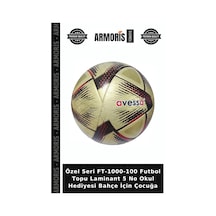 Özel Seri Ft-1000-100 Futbol Topu Laminant 5 No Okul Hediyesi Bahçe İçin Çocuğa Çok Renkli