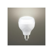 -110/b.65 20w Kristal Camlı T-bulb Led Ampul 2 Adet