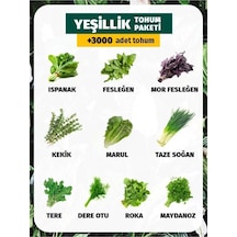 Tohum Dünyam 10 Çeşit Yeşillik Tohum Paketi 3000 Tohum