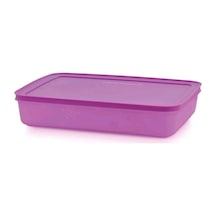 Tupperware Alaska 225 L Lila Buzdolabı Saklama Kabı Esc Çok Renkli
