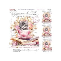 Ütü İle Rub On Transfer Kağıdı 30x30cm Rb-522