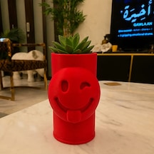 3d Baskı Emoji Planter - Göz Kırpan Yüzlü Sukulent Saksısı-kırmızı Diğer