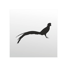 Folyo Sticker Anka Kuşu 200cm Uzunluk Siyah