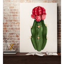 Bk Gift Kaktüs Tasarımlı Kanvas Tablo 70x100cm-19