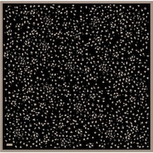BELLİ Saf İpek Eşarp 4126d02 Twill İpek -33 Siyah