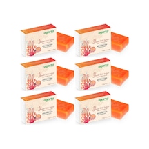 Agarta El Yapımı Doğal Sabun 150gr Yosun Özlü 6 Lı Set Yosun