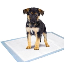 Flip Süper Emici Köpek Tuvalet Eğitim Çiş Pedi 10'lu 60 x 90 CM