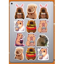 Sincap Sticker Seti Laptop Ajanda Pc Tablet Telefon Defter Etiket Bullet Journal Diğer
