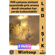 Çok Renkli