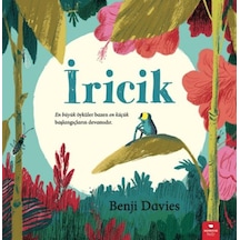 İricik - Ybve-752373