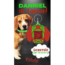 Petjoo 21.Danniel Kırmızı-Yeşil Qr'lı Köpek Künyesi