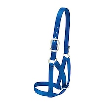 Livestock Cow Barn Halter, Mavi, Medium