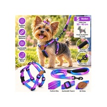 Ally Paws Köpek Göğüs Tasması Ve Gezdirme Kayışı Seti S Beden 8mm X 120cm Çok Renkli