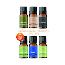 Ofis Mağaza Esansiyel Uçucu Koku Yağı Buhurdanlık Yağı Difüzör Esansı 6'lı Set 6x10ml Karışık