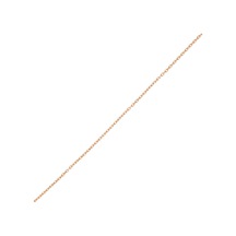Altın Zincir T036955