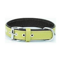 Canini Collar Hakiki Flotter Deri Köpek Tasması, Çift Katlı Deri, Ultra Dayanıklı Tasma Yeşil-kahverengi, Xl Çok Renkli