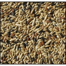 Karışık Kanarya Yemi 10 Kg Açık Çuvaldan Bölme