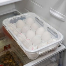 Porsima Org-31 15 Bölmeli Kilit Kapaklı Yumurta Saklama Kabı Beyaz