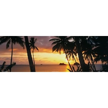 Buyartforless Tropikal Gün Batımı 36x12 Sanatsal Baskı Poster Palmiye Ağaçları Tropikal Ada Kaçamağ 7/8 Yaş